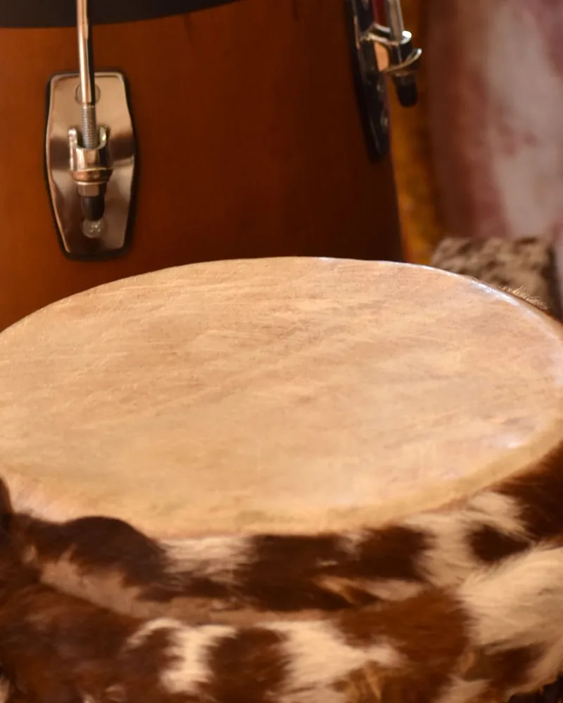 Detalle de una membrana natural montada sobre un cuerpo de madera junto a un herraje de tensión